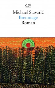 Brenntage von Michael Stavaric (c) DTV